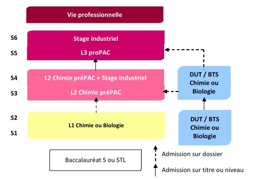 organigramme admission L3 ProPAC