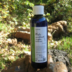 basilic hydrolat cevennessences