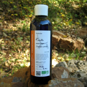 hydrolat de carotte sauvage