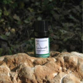 huile essentielle laurier
