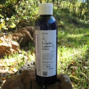 hydrolat de lavandin cevennessences