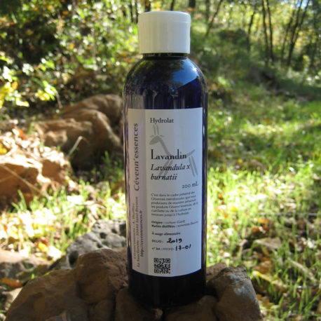 hydrolat de lavandin cevennessences
