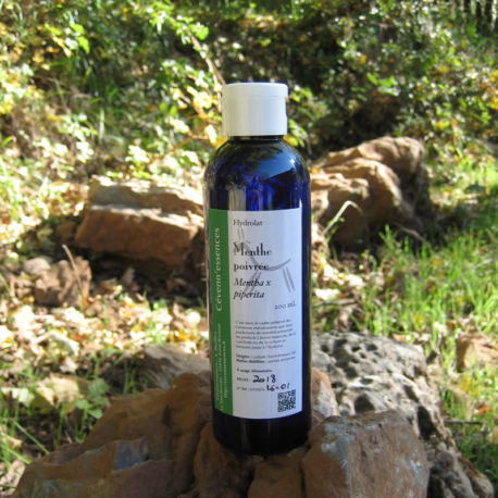 hydrolat de menthe poivrée