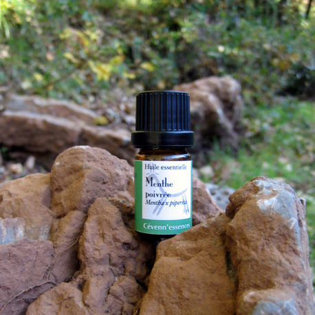 huile essentielle menthe poivrée