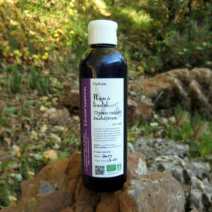 hydrolat de thym à linalol par Cévenn'essences