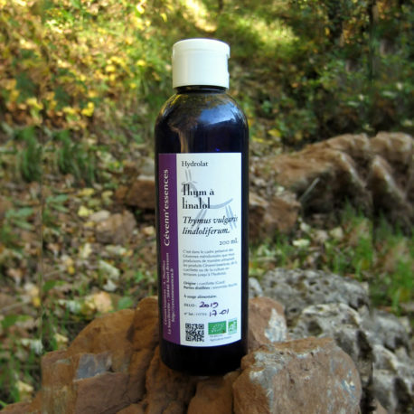 hydrolat de thym à linalol par Cévenn'essences