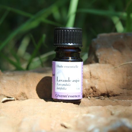 huile essentielle de lavande aspic biologique