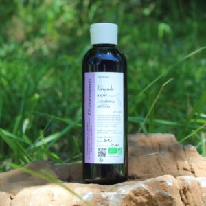 hydrolat lavandin biologique