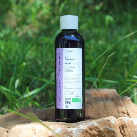 hydrolat lavandin biologique