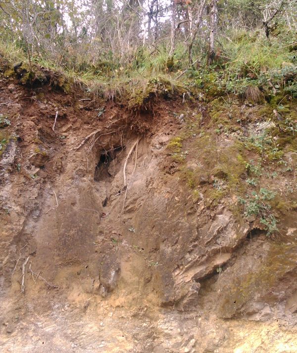 sol calcaire dolomitique