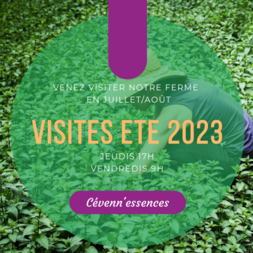 Visites de la ferme été 2023